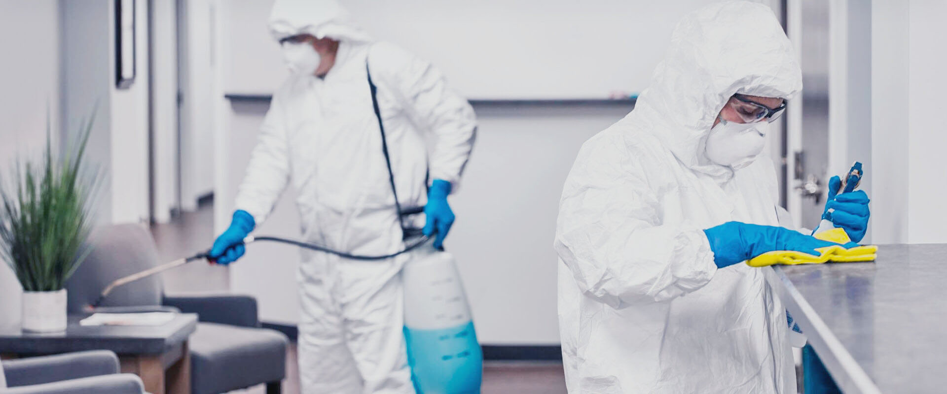 ФОТО В чем разница между дезинфекцией и дезинсекцией в Реутове? | подробно
